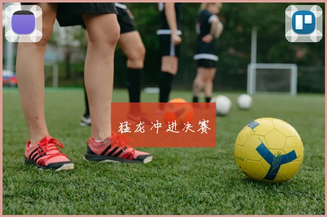 猛龙冲进决赛