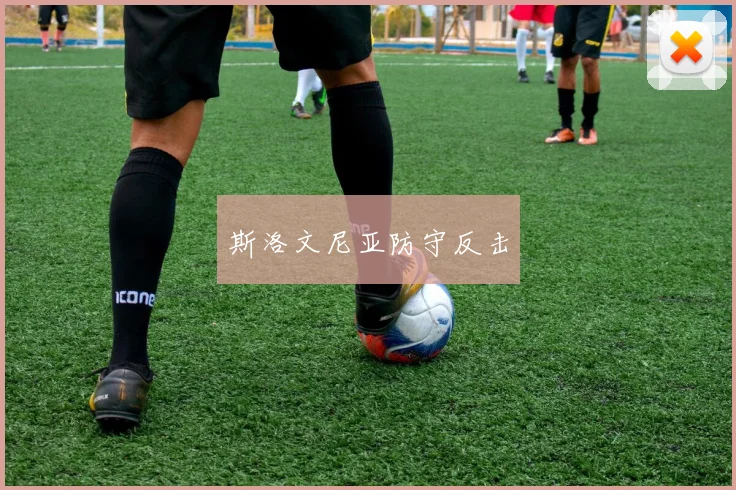 斯洛文尼亚防守反击