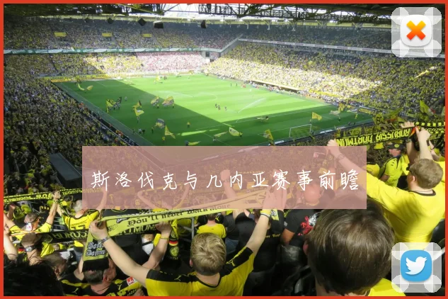 斯洛伐克与几内亚赛事前瞻