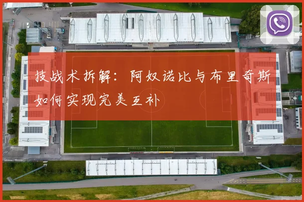 技战术拆解:阿奴诺比与布里奇斯如何实现完美互补