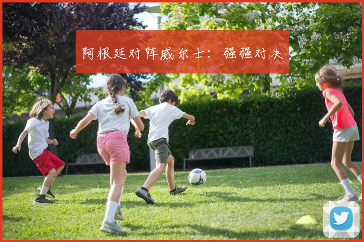 阿根廷对阵威尔士：强强对决