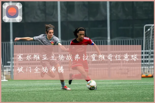 塞尔维亚主场战弗拉霍维奇任意球破门全场沸腾