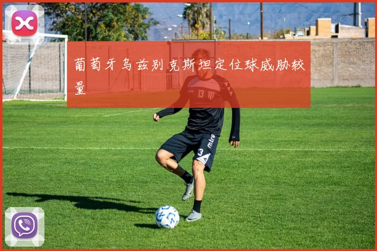 葡萄牙乌兹别克斯坦定位球威胁较量