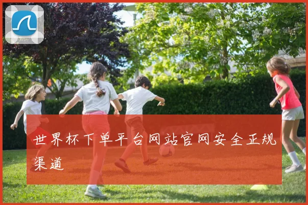 世界杯下单平台网站官网安全正规渠道