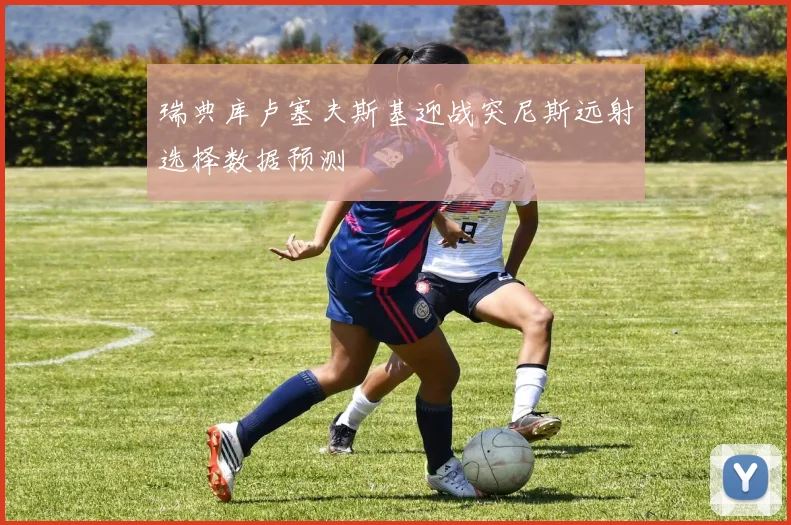 瑞典库卢塞夫斯基迎战突尼斯远射选择数据预测
