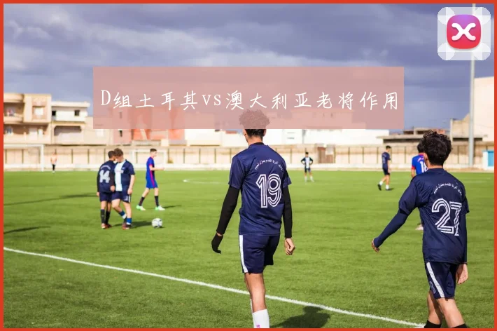 D组土耳其vs澳大利亚老将作用
