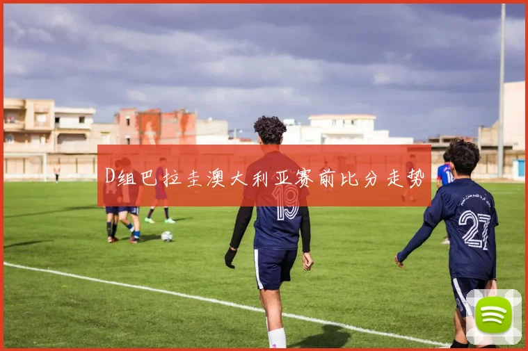 D组巴拉圭澳大利亚赛前比分走势